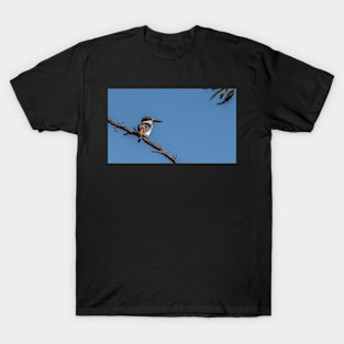 Reb-backed Kingfisher T-Shirt